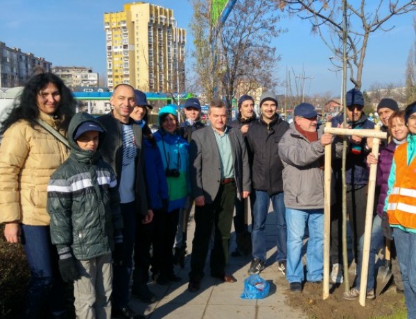 Служители на Алианц България засадиха 125 широколистни дървета в София под мотото "Да се погрижим за нашето утре!". Фиданките ясен и клен бяха засадени на обновените бул. Акад. "Иван Ев. Гешов" в столичния квартал Лагера и на ул. "Ген. Никола Жеков" в кв. Надежда.