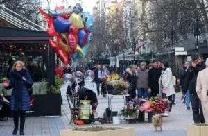 8 ми март
