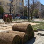 тревни чимове