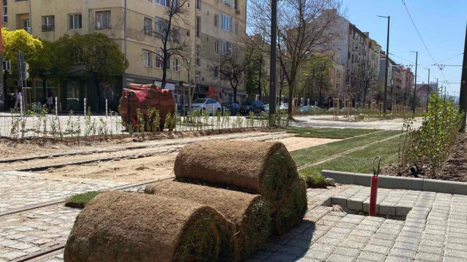 тревни чимове