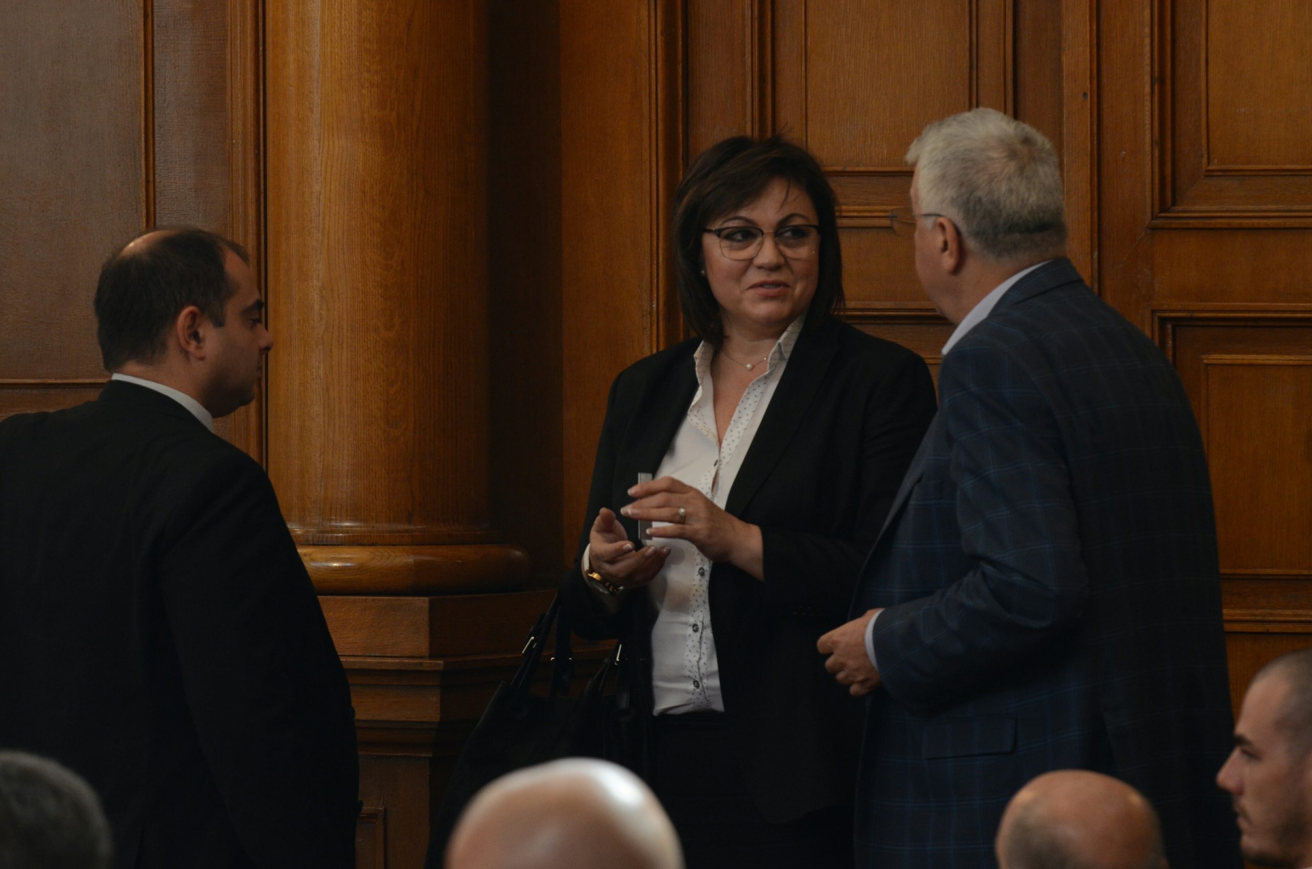 Парламент Корнелия Нинова