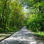 западен парк