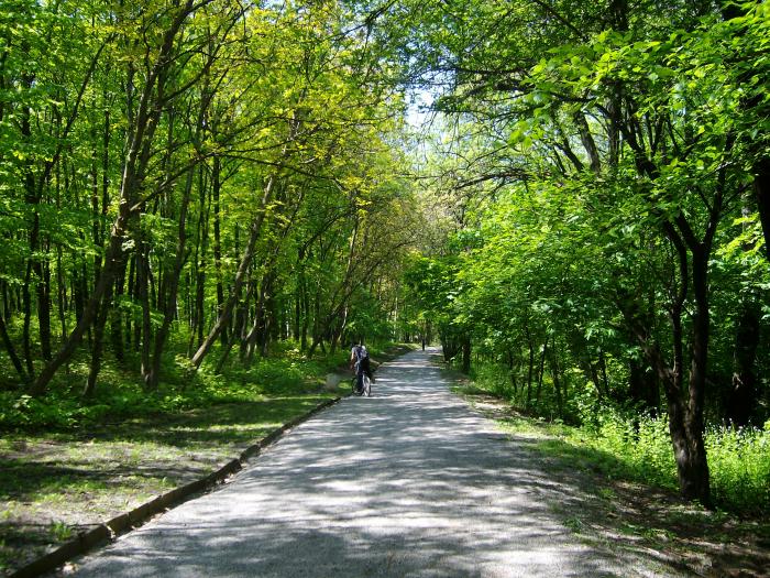 западен парк