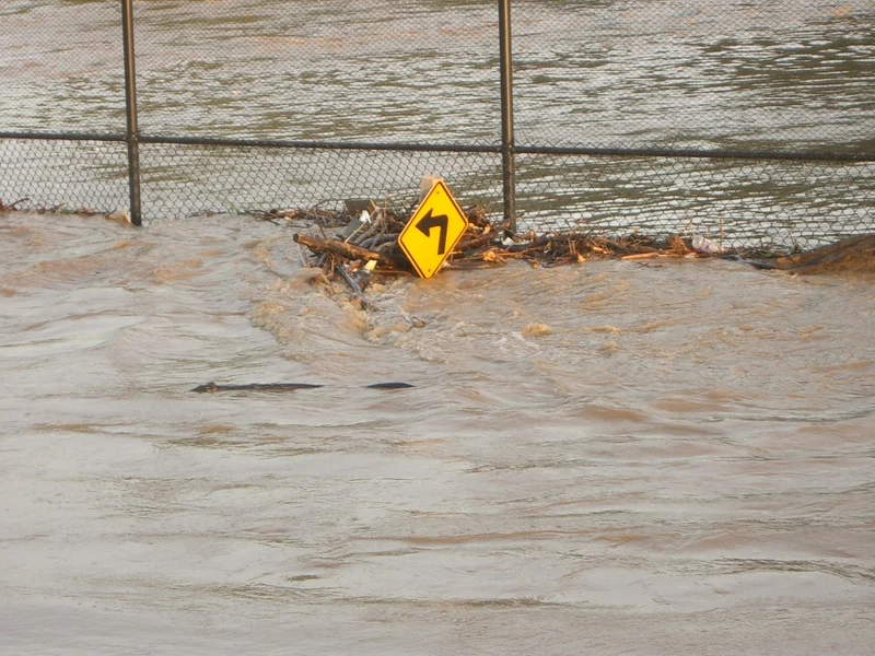 Migration Image