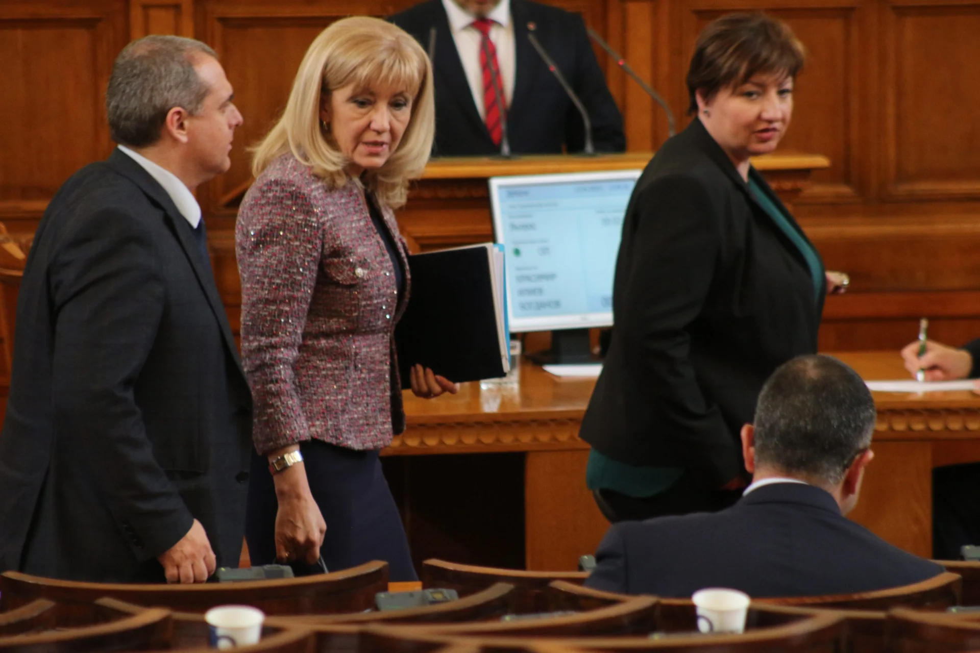 Парламент контрол Петя Аврамова
