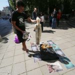 Протест пред „Министерство на земеделието и храните“ с искане за преустановяване дейността на всички ферми за отглеждане на животни заради кожата им в България