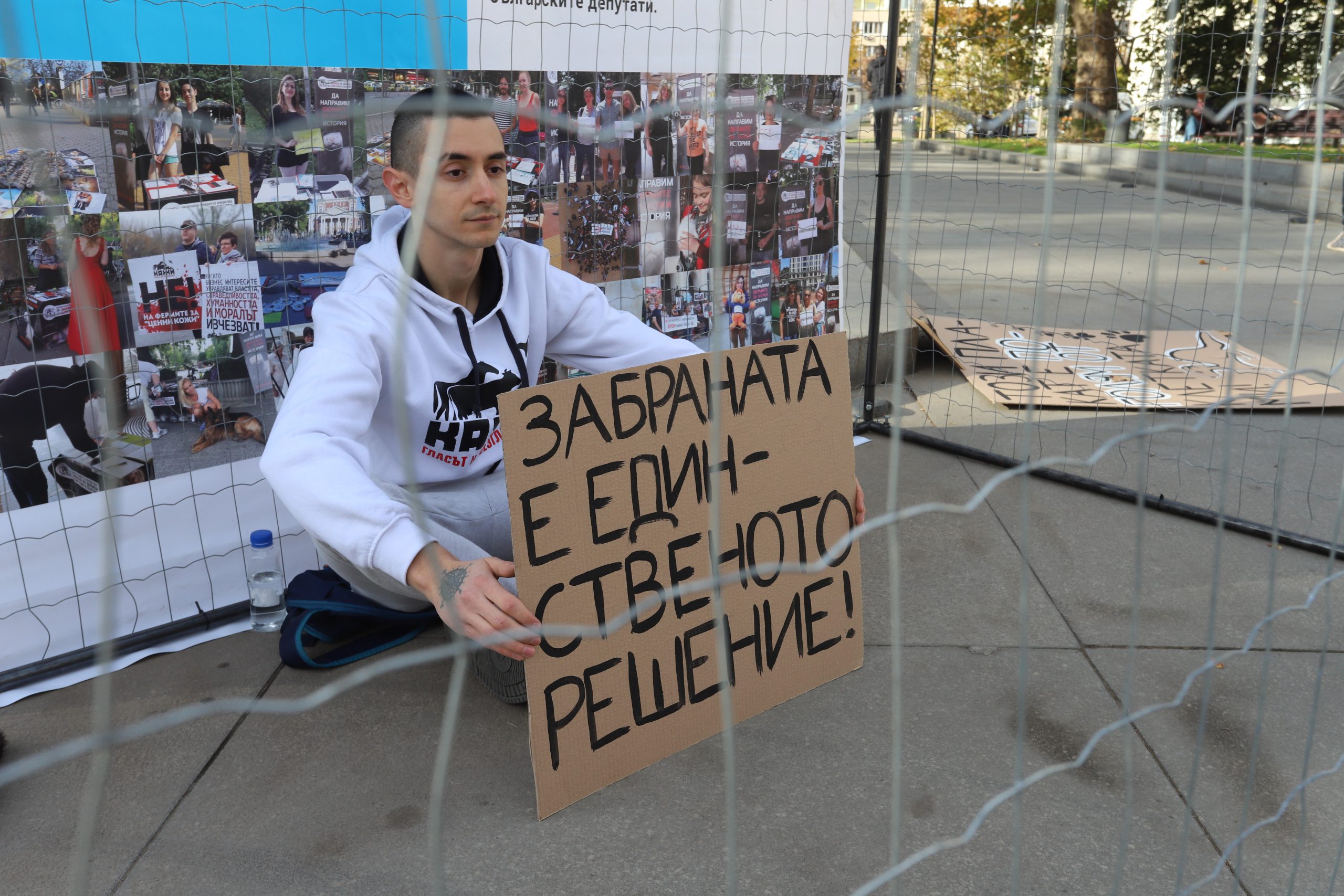 Протест срещу фермите за норки