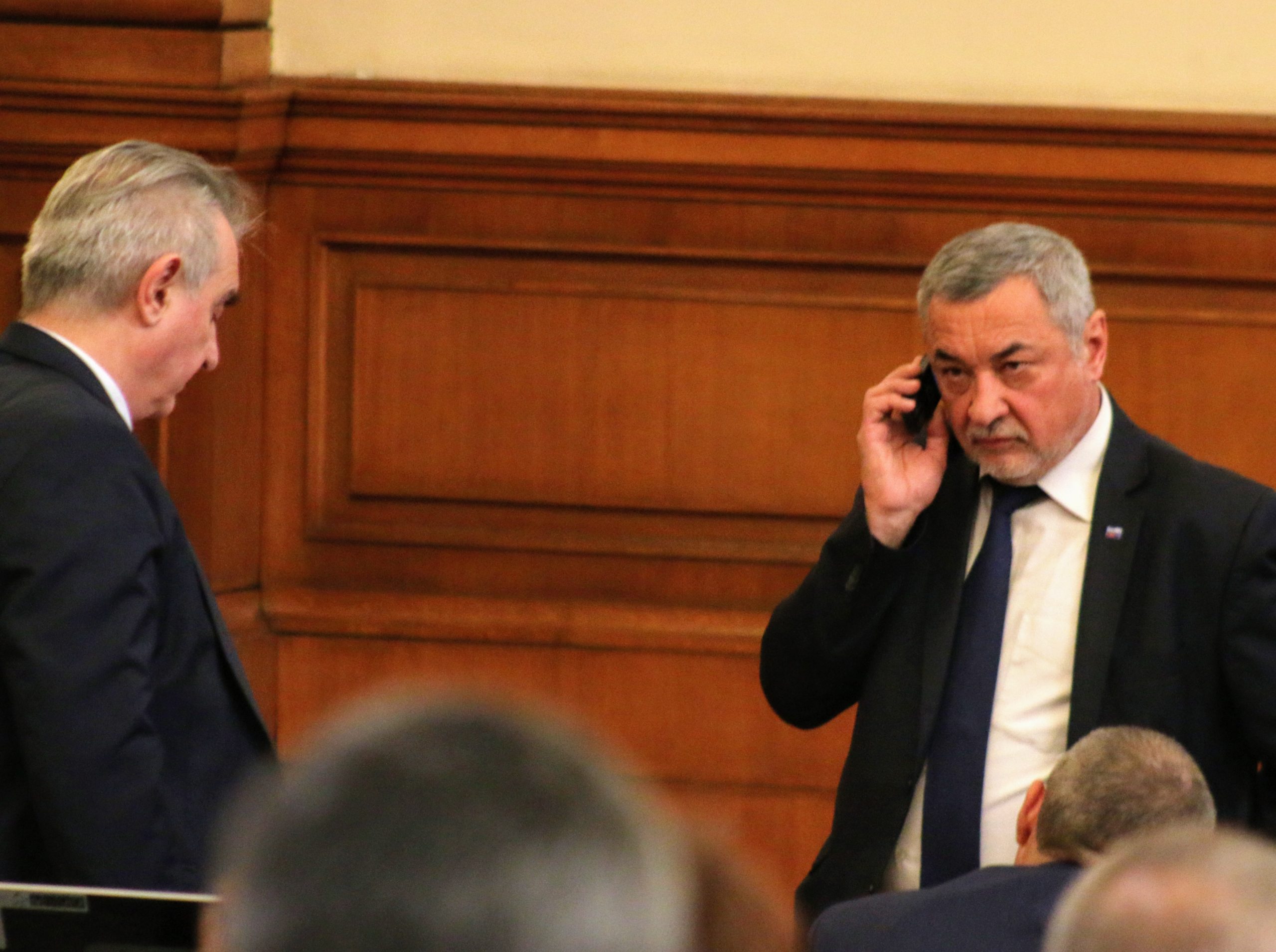 Парламент Валери Симеонов