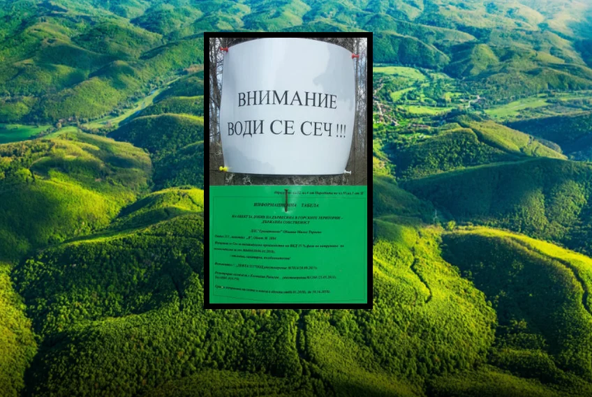 Парк Странджа-1