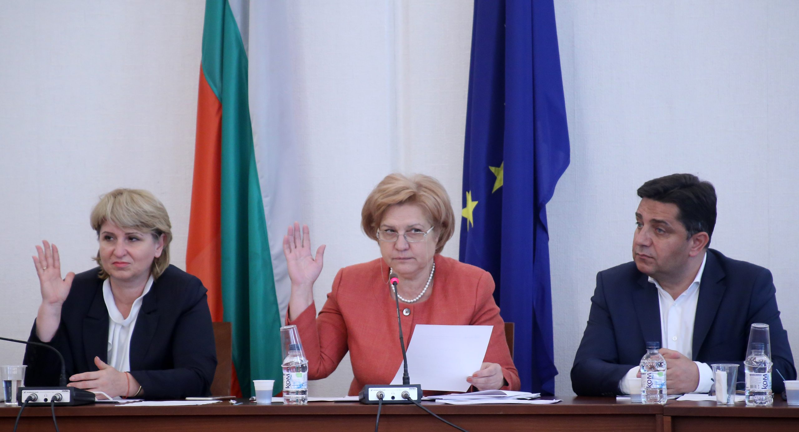 Парламент - комисия по бюджет и финанси Диана Йорданова