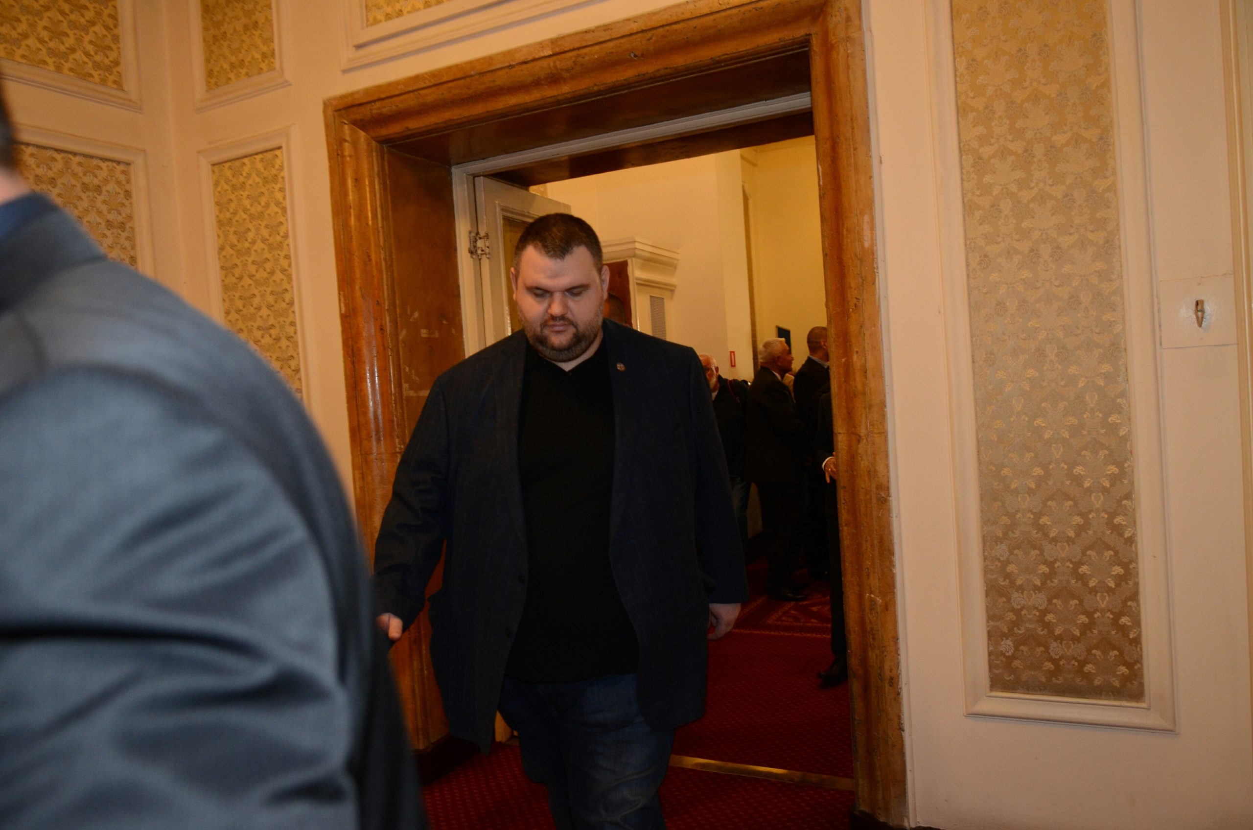 Парламент Делян Пеевски