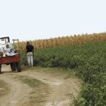 Българинът е все по-объркан - да продава или да обработва наследената земя.