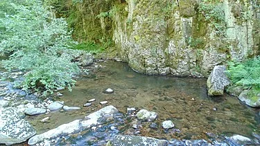 Готови са резултатите от пробите на река Девинска 6 Devin River Valley Iz9.jpg.wpt4 1736548 9b09f2ce21 0
