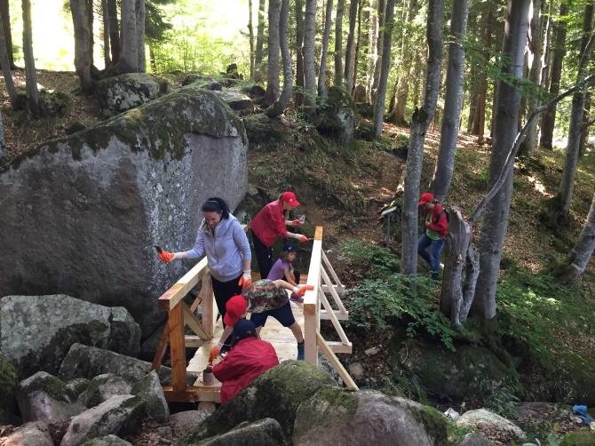 G:Corporate Communications and MarketingCC 2019CSRЗелена инициативаPicsZeleni2.JPG