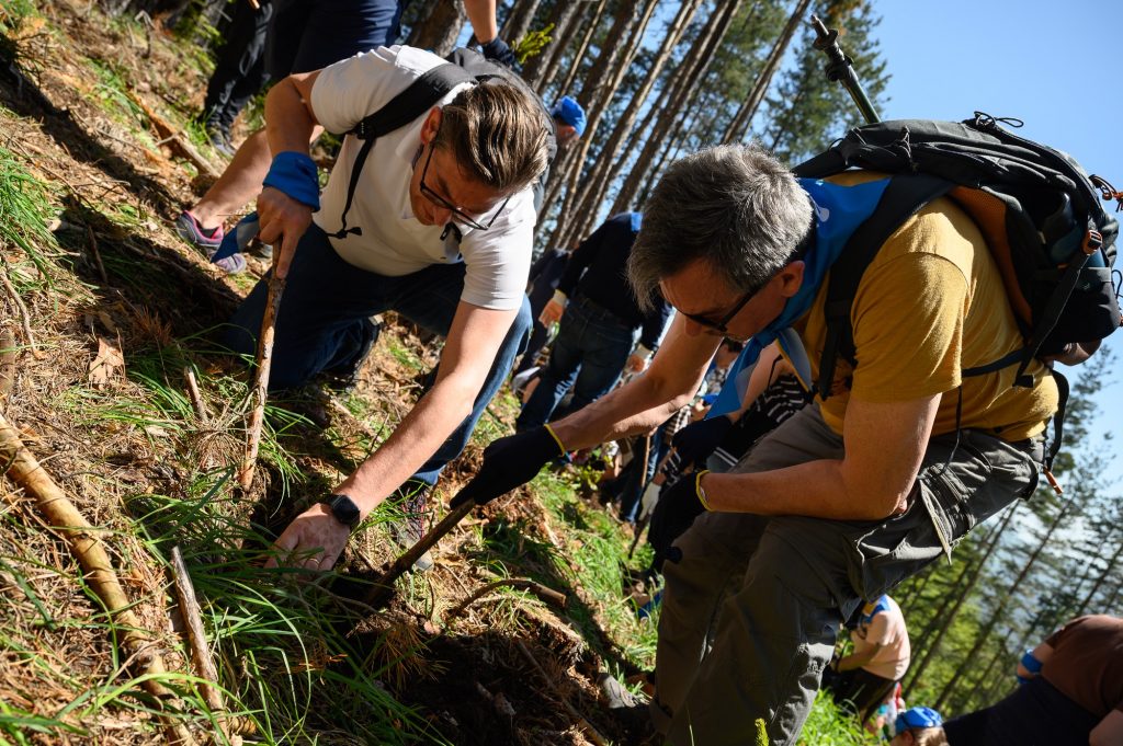 Roebben De Mil zalesqvane