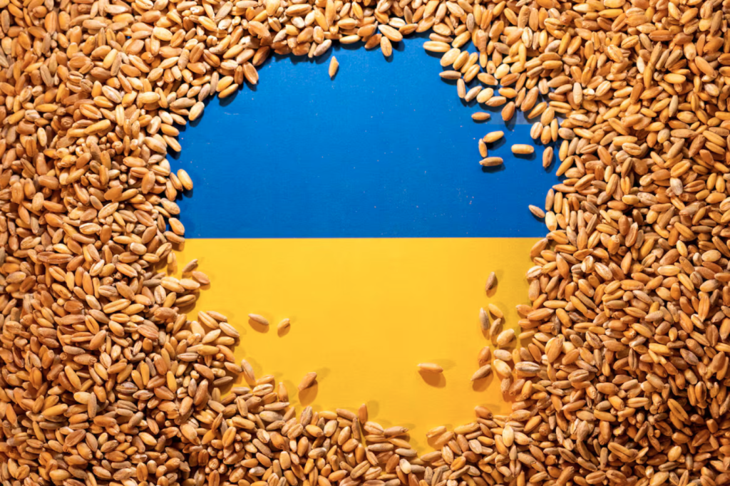 Вносът на украинска продукция