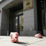 Протест пред ВСС - агнешки главички