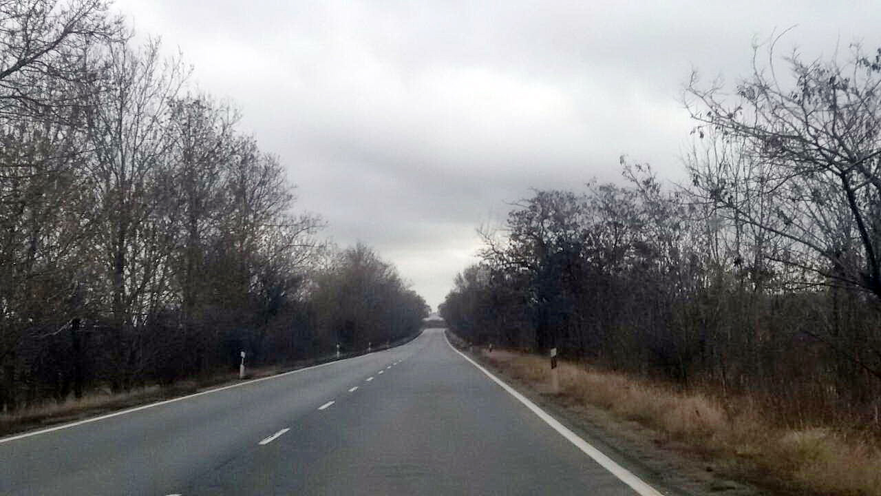 път калотина