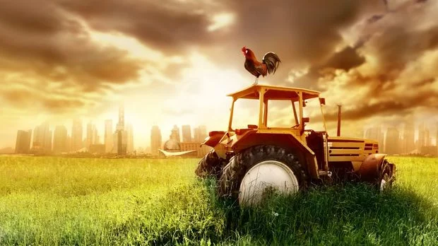 Автор: Shutterstock