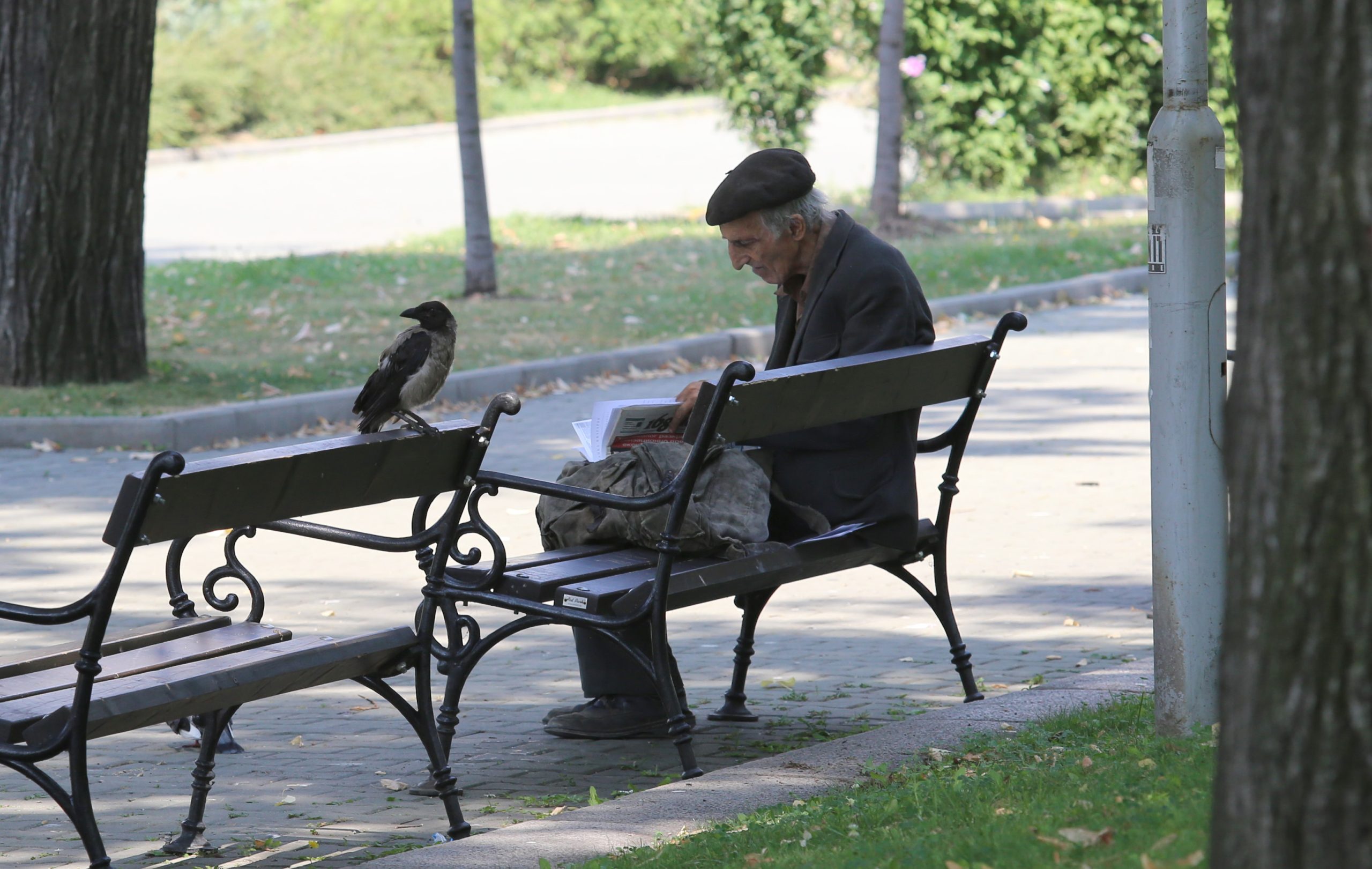 пенсионер