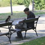 17 процента са работещите пенсионери у нас