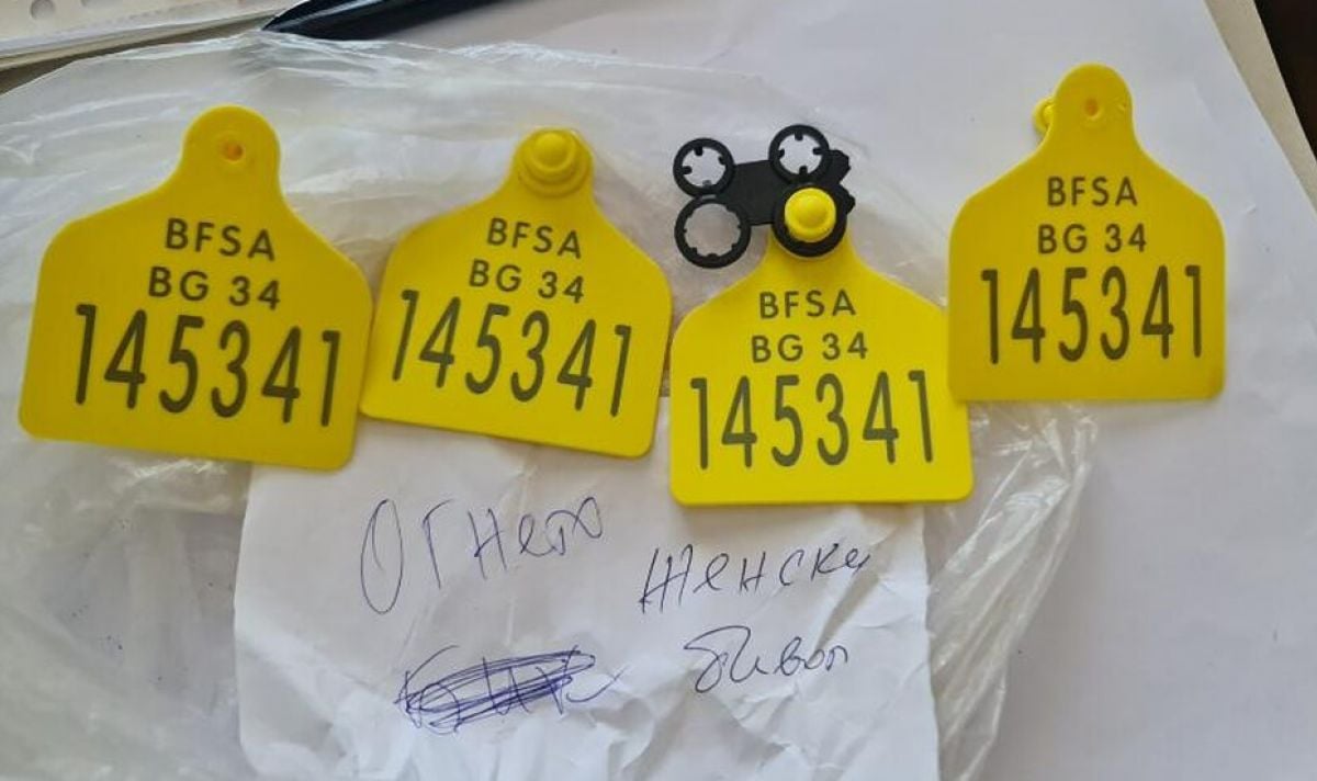измами европари