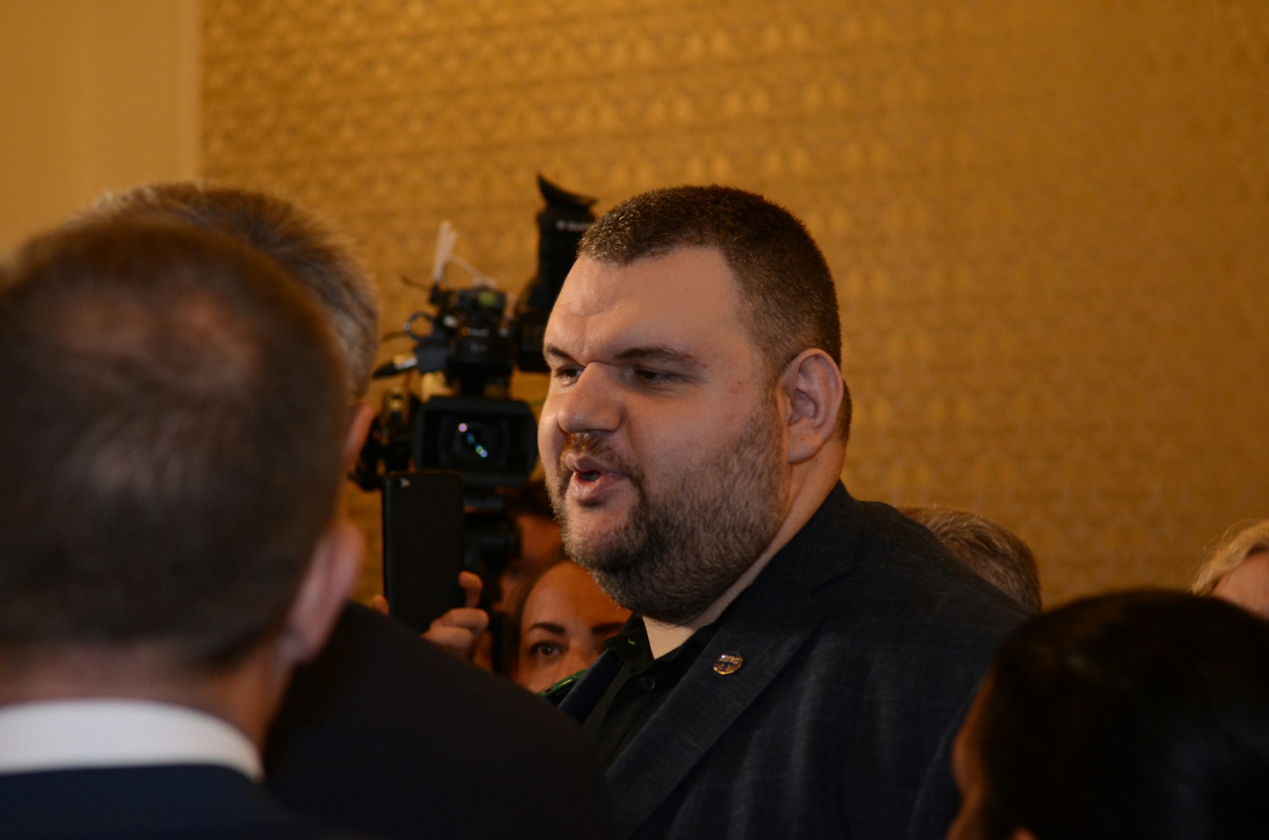 Парламент Делян Пеевски