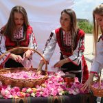 Килим от рози пред НДК