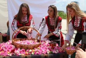 Килим от рози пред НДК