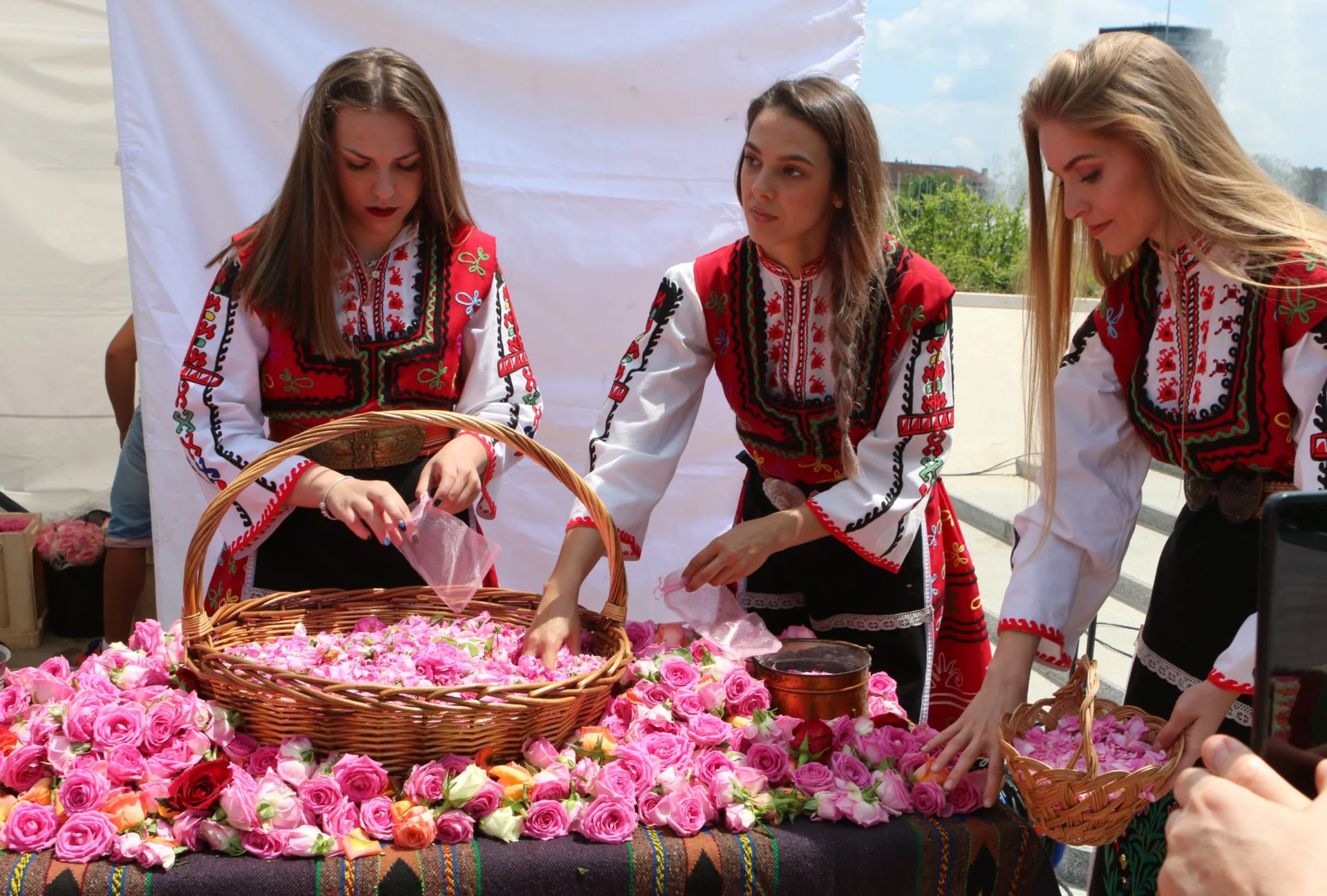 Килим от рози пред НДК