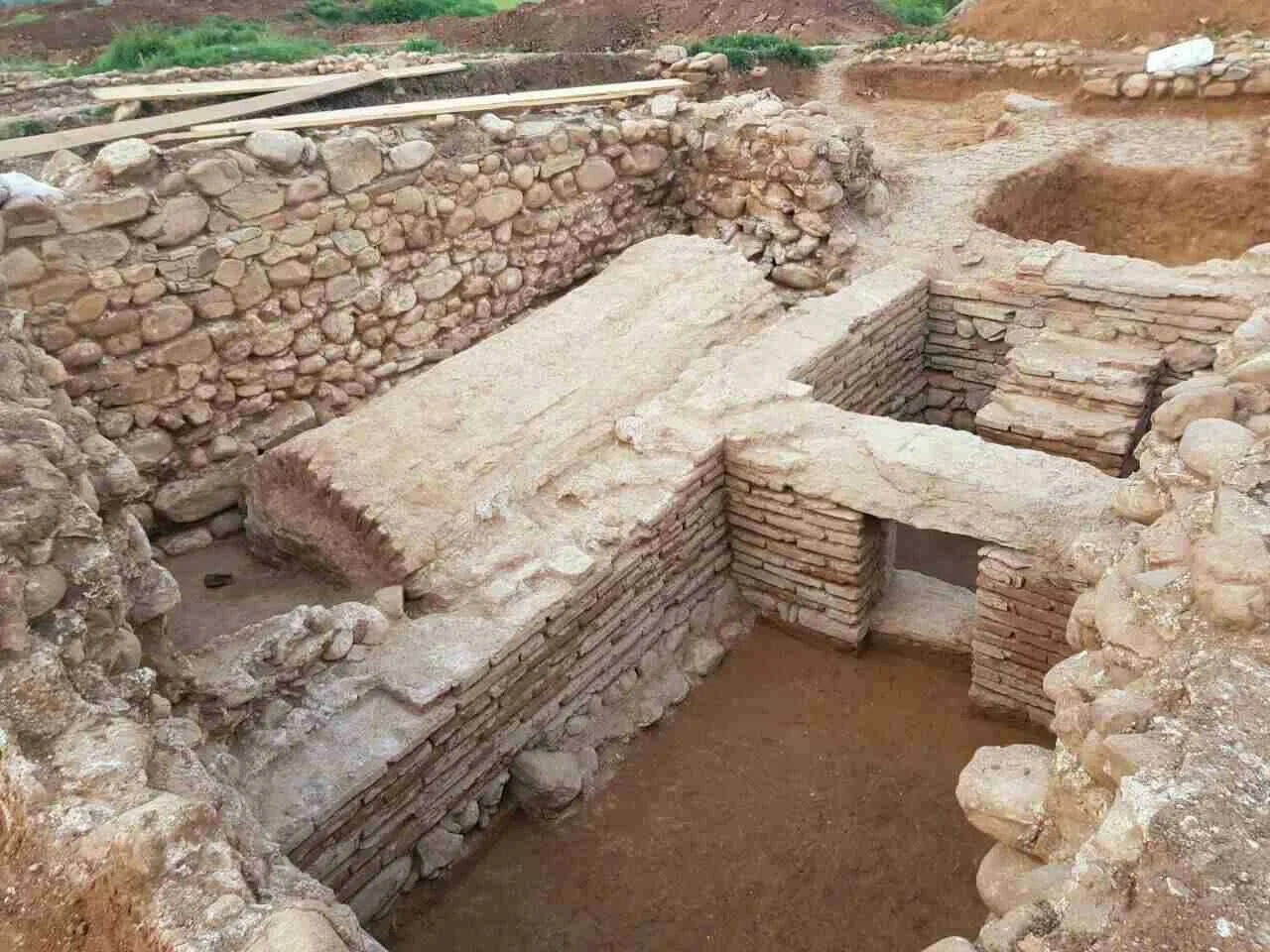 Скаптопара