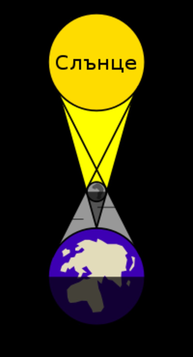 Migration Image