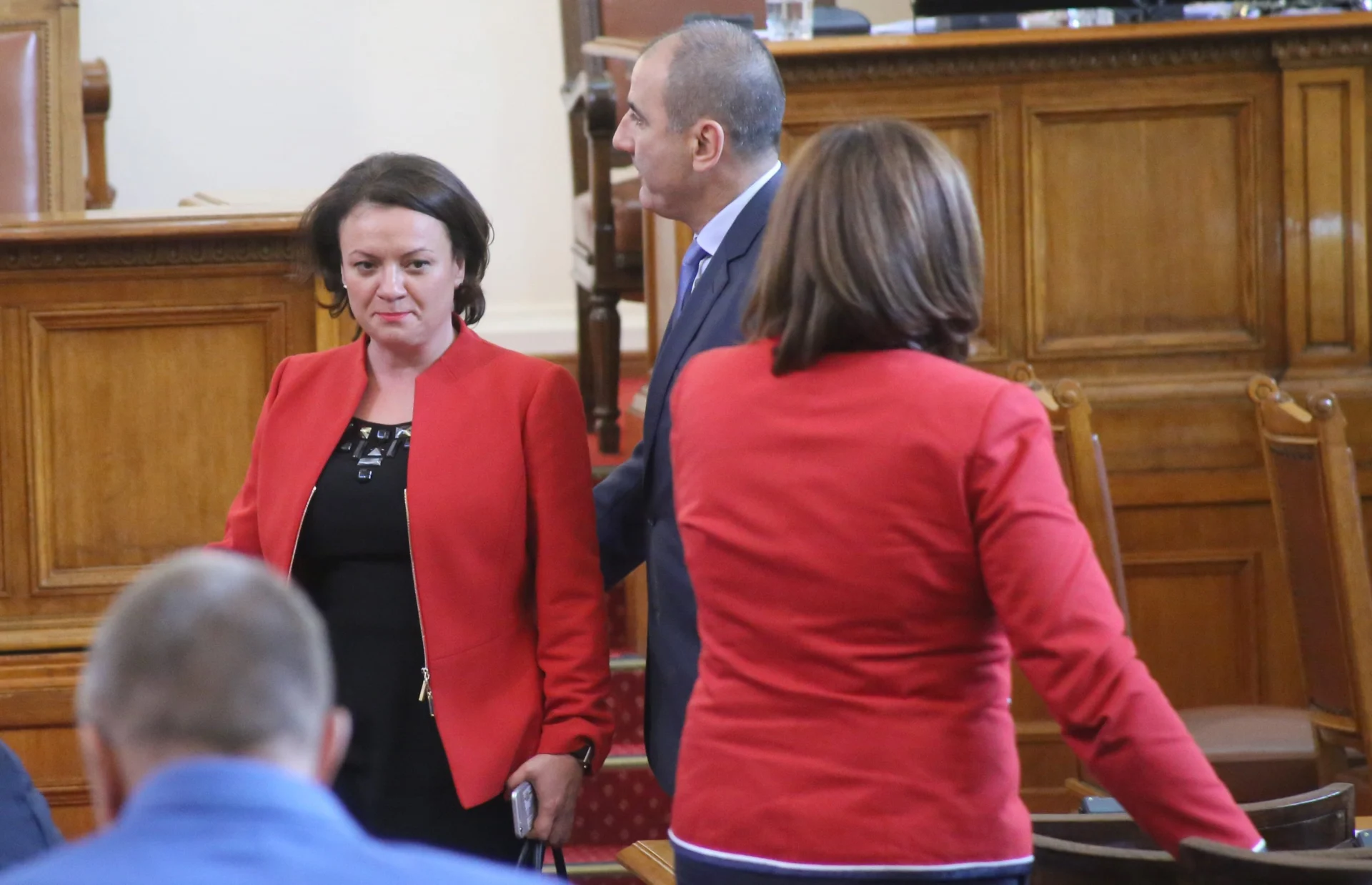 Парламент Ивелина Василева