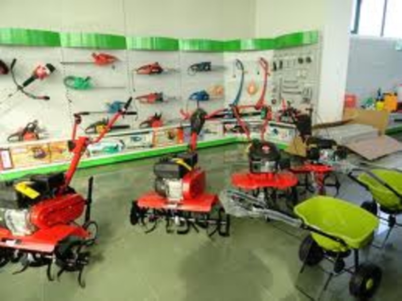 Migration Image