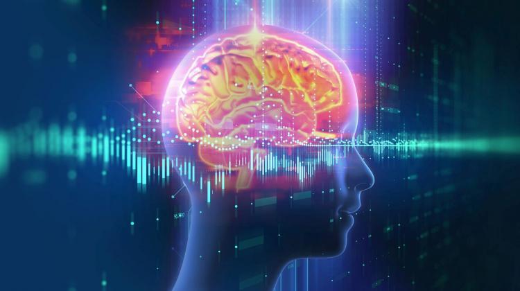 интелектуални предизвикателства