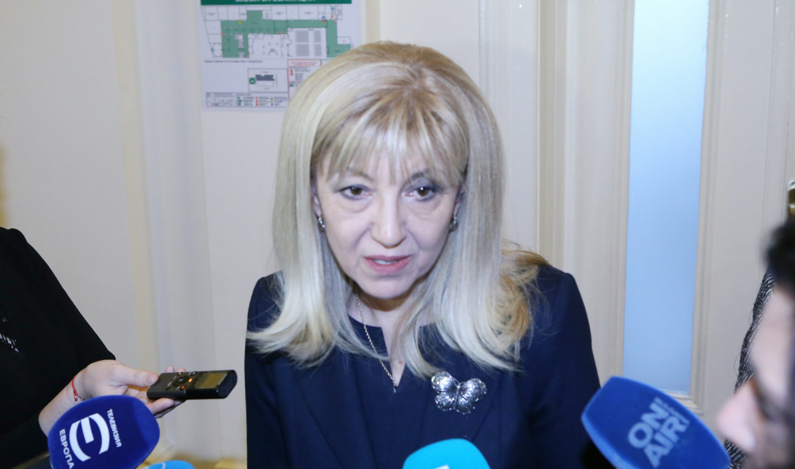 Парламент Петя Аврамова