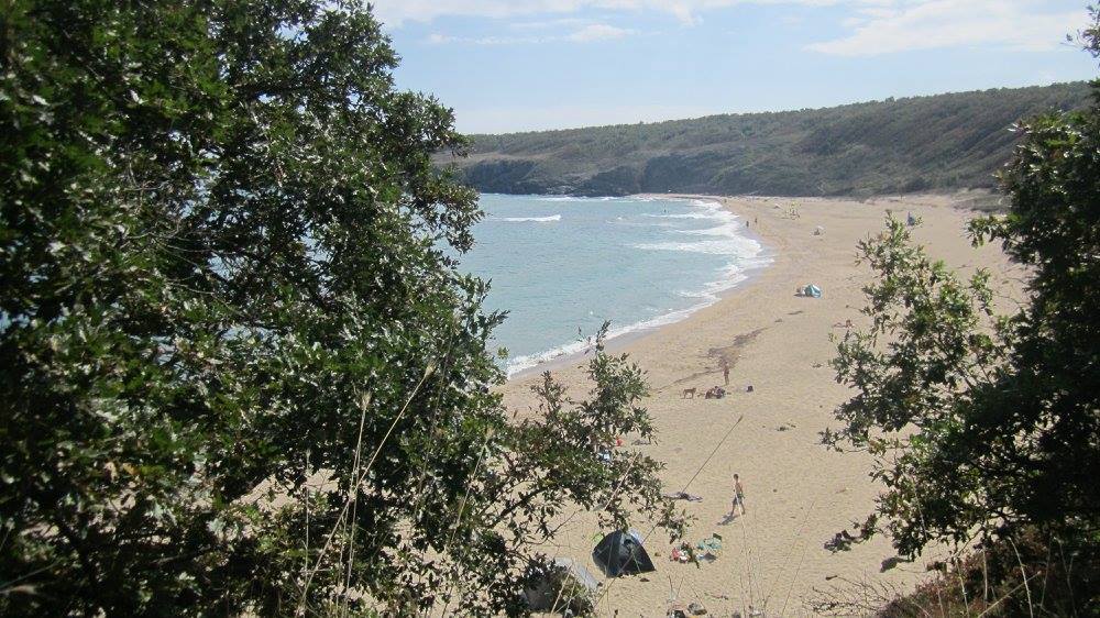 плаж липите