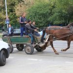 каруца