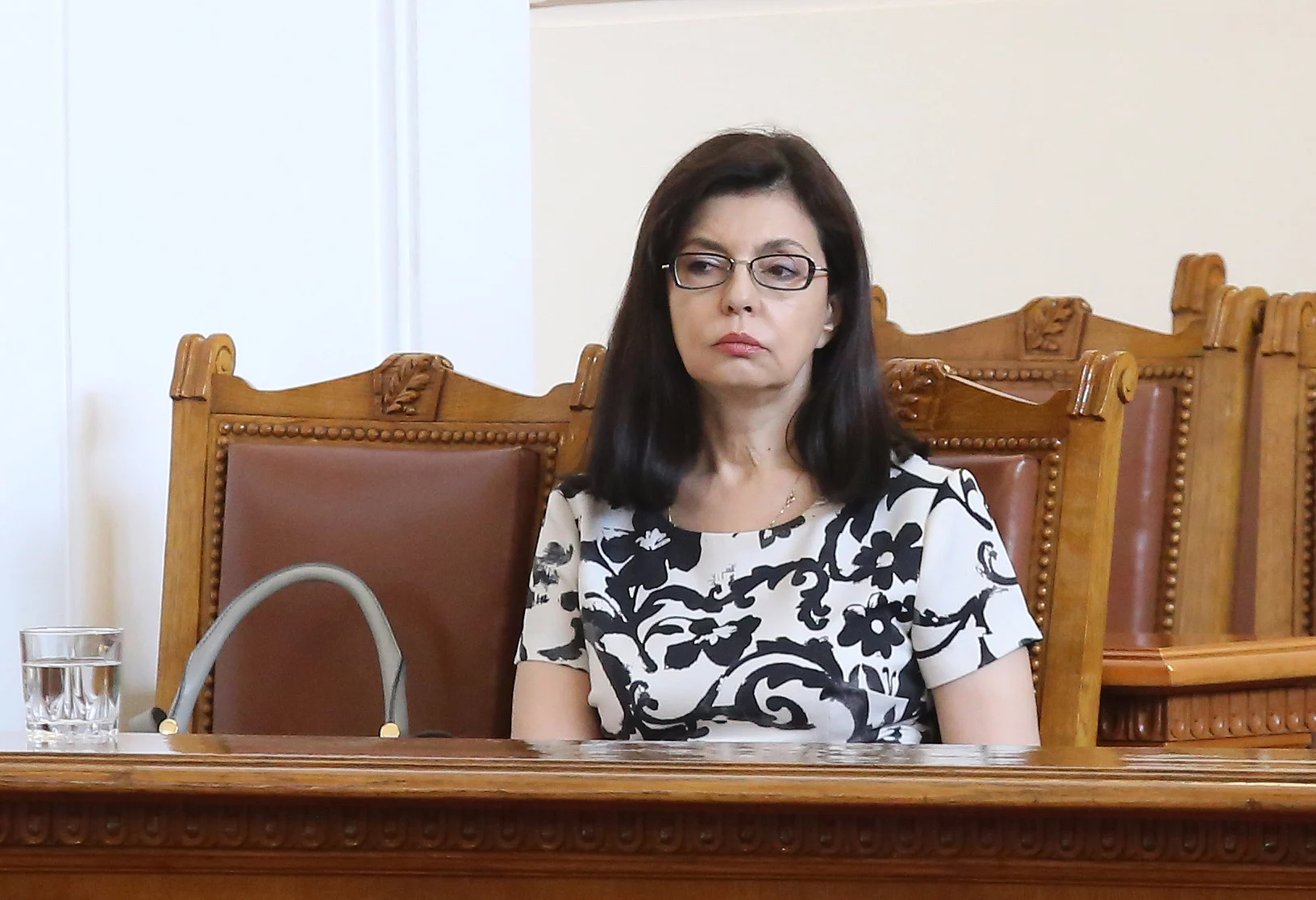 Парламент Меглена Кунева