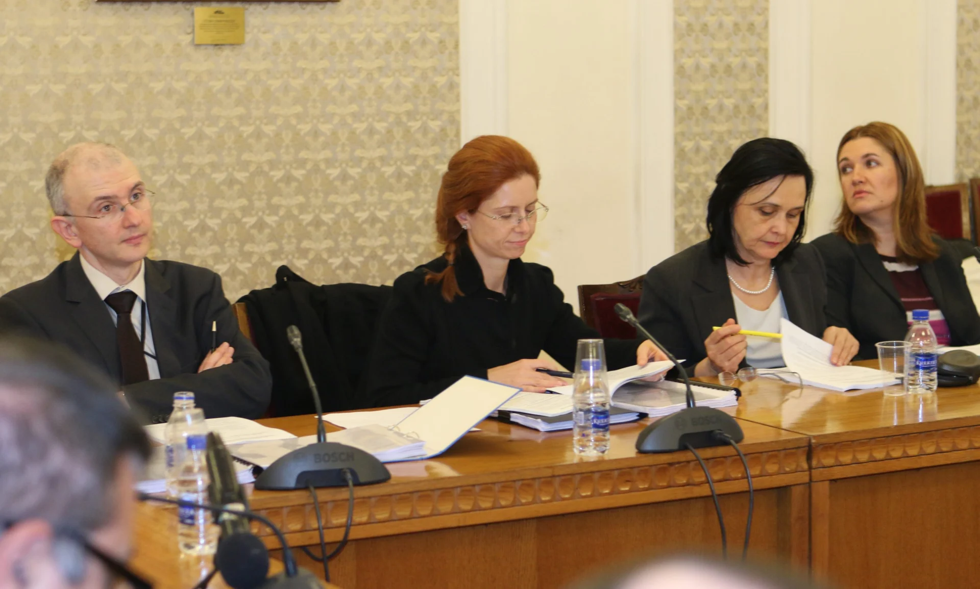 Парламент комисия по икономическа политика Ралица Агаин