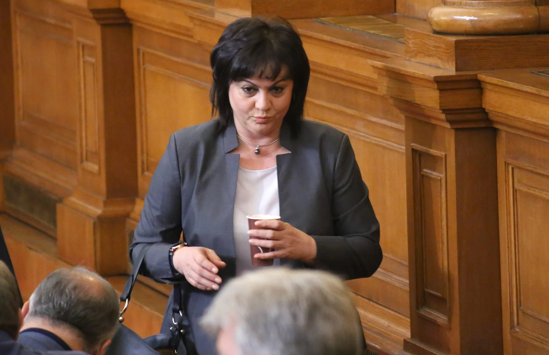 Парламент Корнелия Нинова