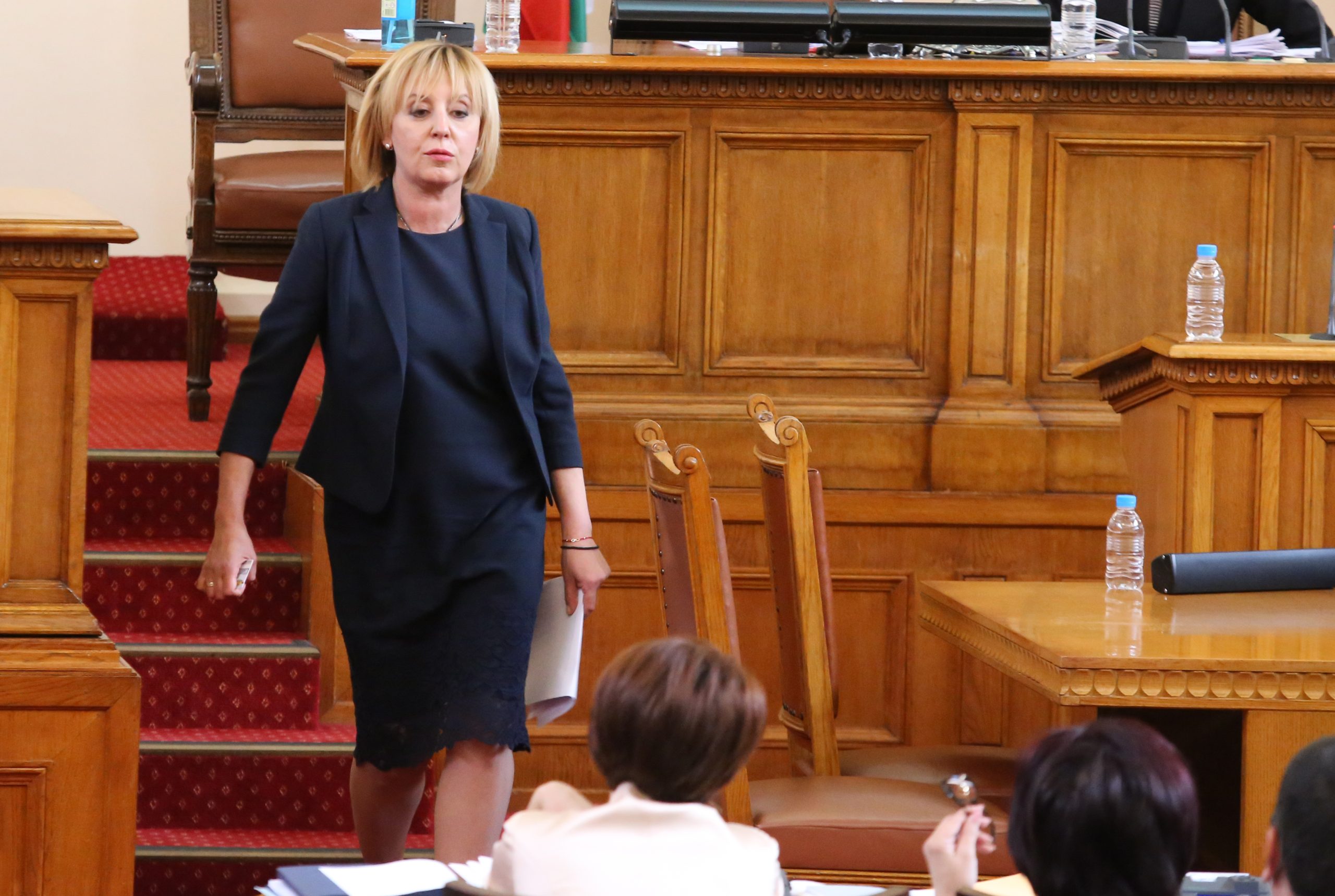 Парламент Мая Манолова
