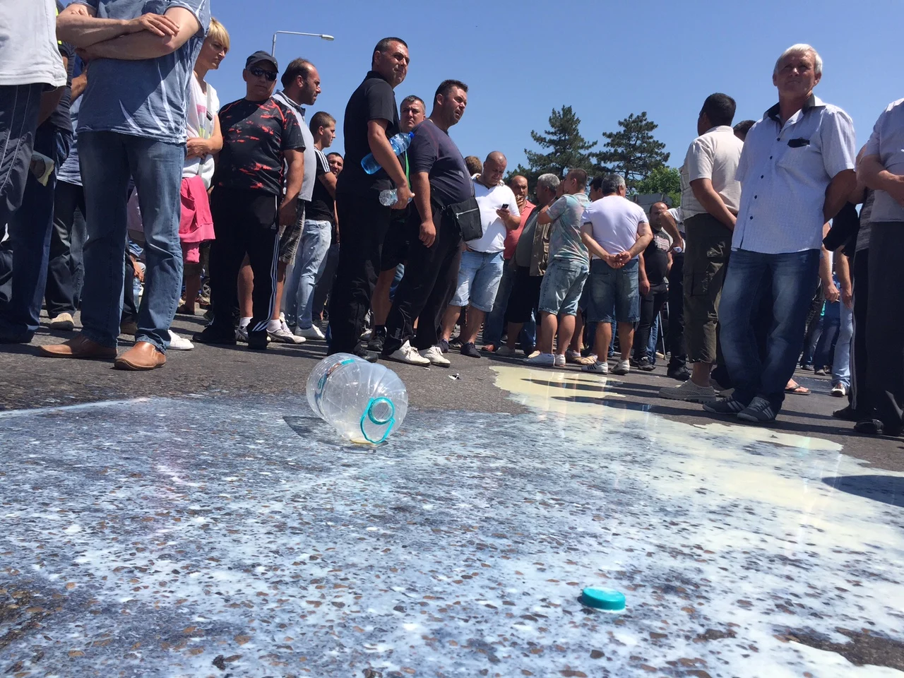протест млекопроизводители