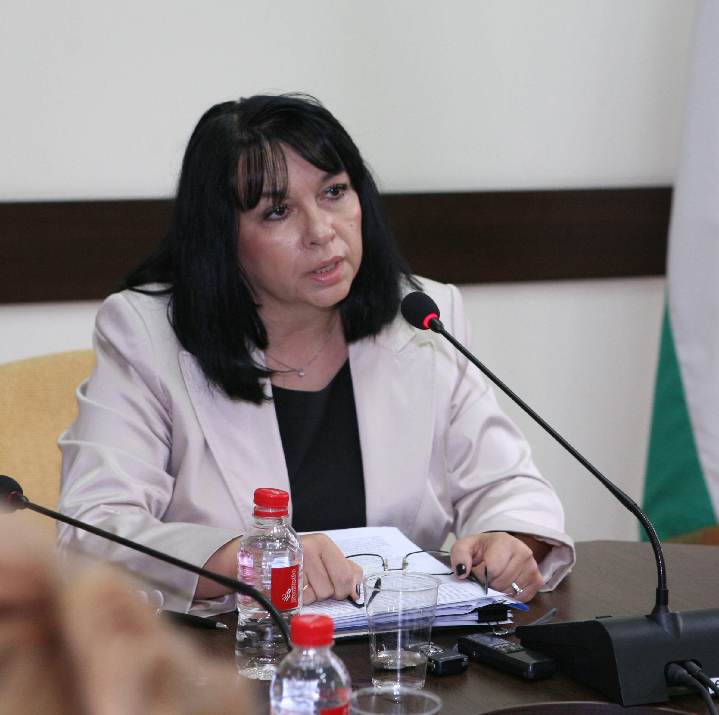 Министерство на финанситеПресконференцияТеменужка Петкова - зам. мин. на фин.