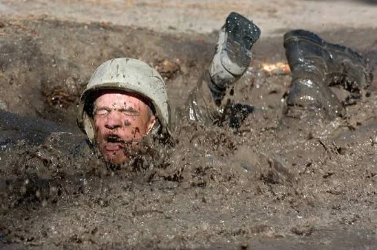 Тестостеронът, глупако!