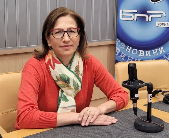 конституционния съд, атанаска дишева, конституционният съд