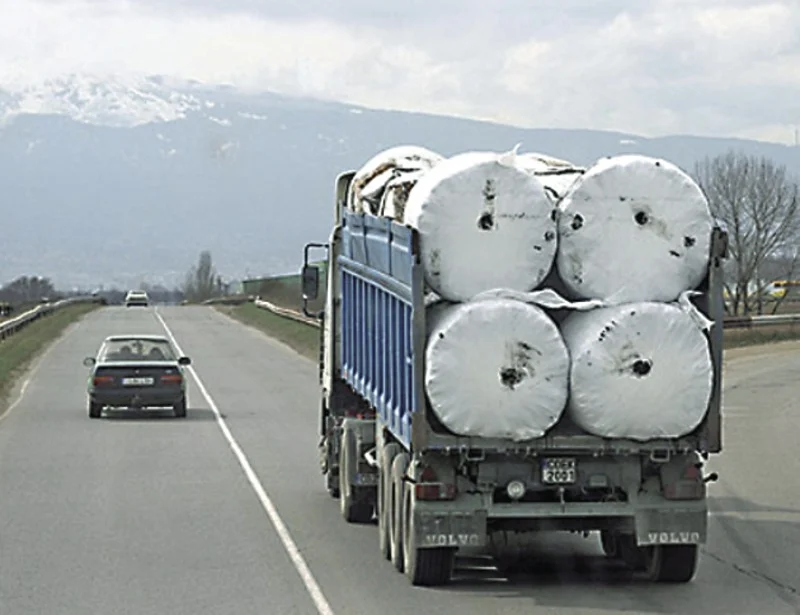 Migration Image