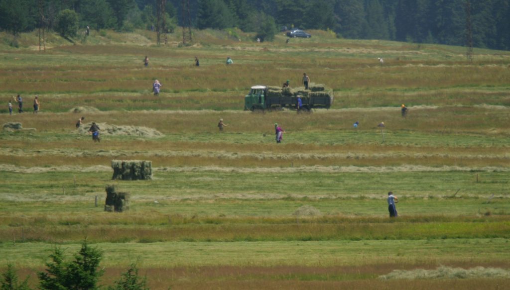 "Адванс Терафонд" разшири портфейла си със 29.5 ха земеделска земя