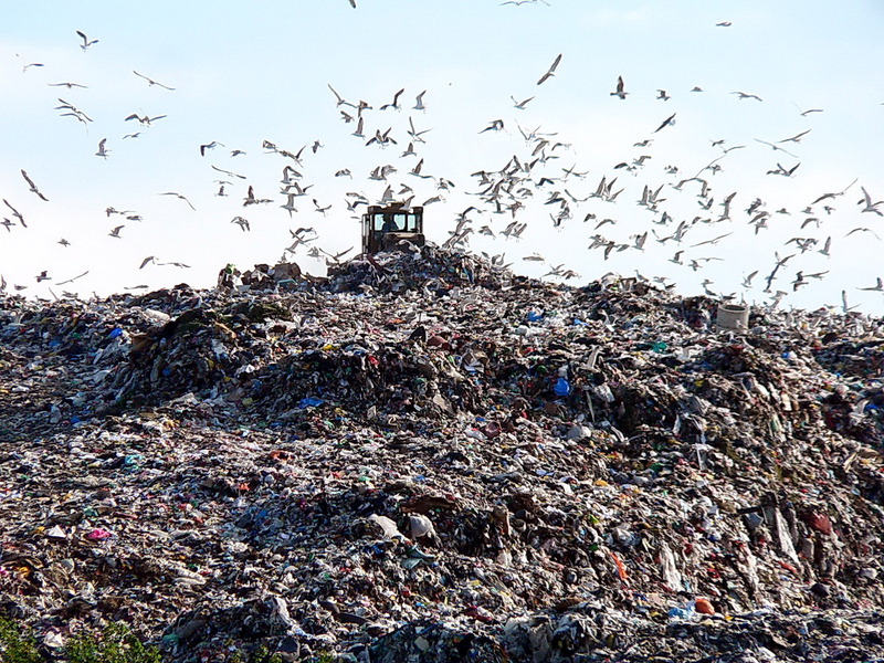 Migration Image