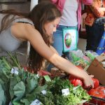 Тази година ще изпратим с увеличени производства с почти всички видове